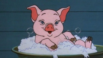 Breeding Sows cover