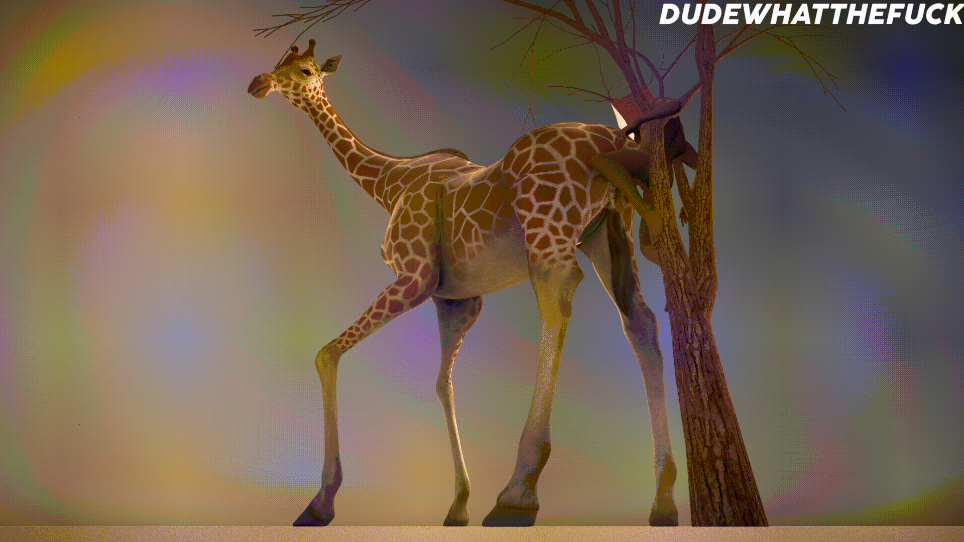 Giraffe Tongue Is 18 Inches Long page 12 full