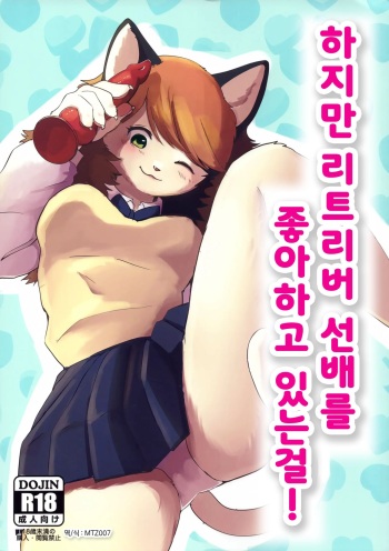 (Kemoket 12) [Kon Juuichibai (Momou)] Datte Inu Senpai no Koto Suki Nanda Mon! | 하지만 리트리버 선배를 좋아하고 있는걸! [Korean] [MTZ007] cover
