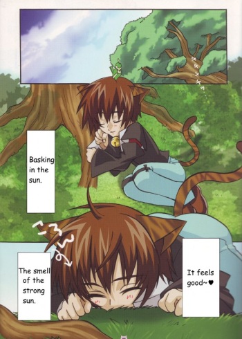 [HACHIMITUNOBIN] Nyandam SEED 2 (Gundam SEED) [English] cover