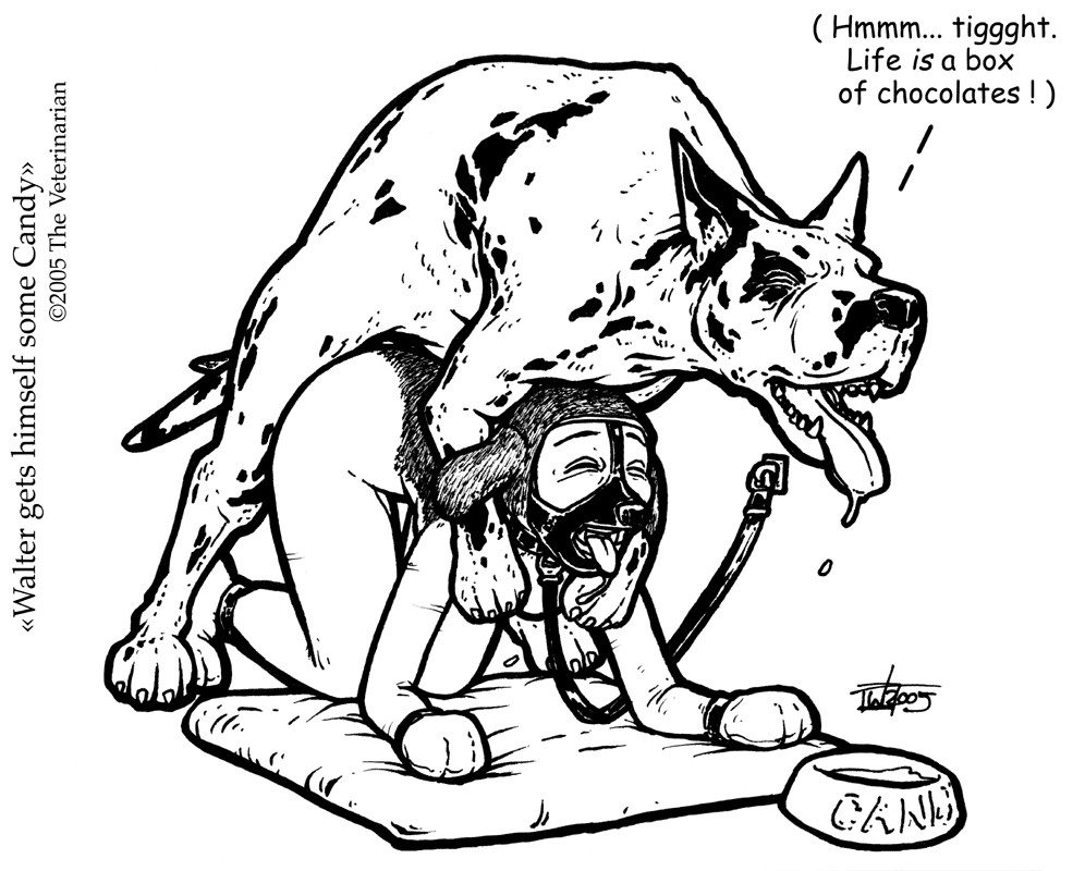 Artist Gallery - The Veterinarian page 12 full
