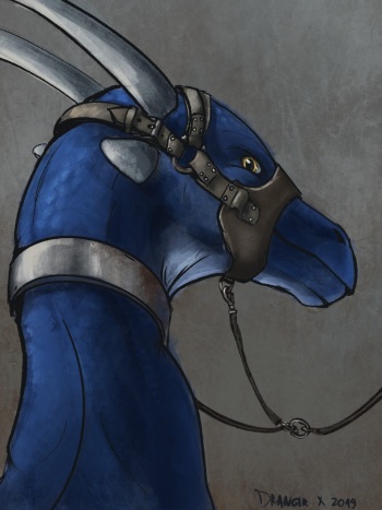 [Artist] Drangir cover