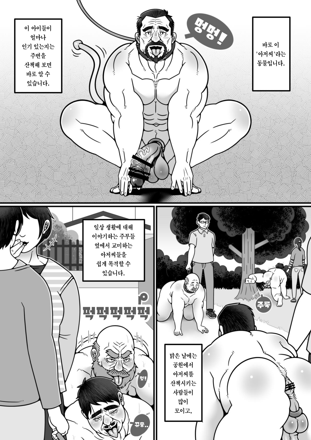Ojikatsu no Susume | 아저씨 생활 추천 page 3 full