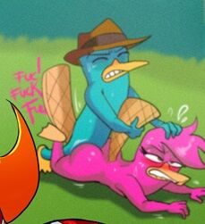 Ah, Perry the Platypus! I'm Sure You've Noticed That You're In A Hentai Gallery! page 1 full