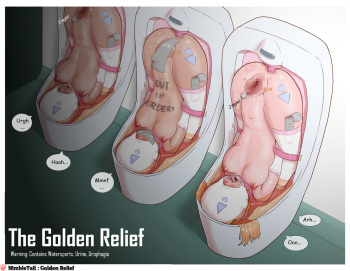 [NimbleTail] The Golden Relief cover