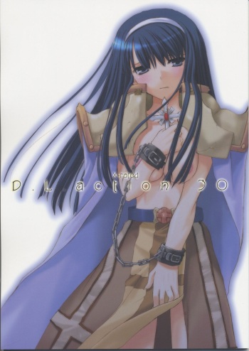 (C68) [Digital Lover (Nakajima Yuka)] D.L. action 30 (Ragnarok Online) [English] [Kinsei Translations] cover