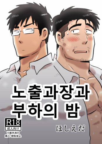 [Hoshiedatei (Hoshieda)] Roshutsu Kachou to Buka no Yoru | 노출 과장과 부하의 밤 [Korean] [Digital] cover