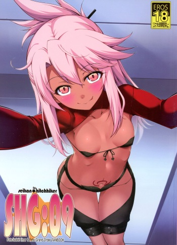 (C101) [Seikan Hitchhiker (Tsurugi Ai)] SHG:09 (Fate/kaleid liner Prisma Illya, Fate/Grand Order) cover
