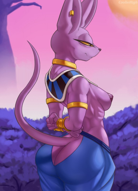 Character beerus gender bender page 12 full