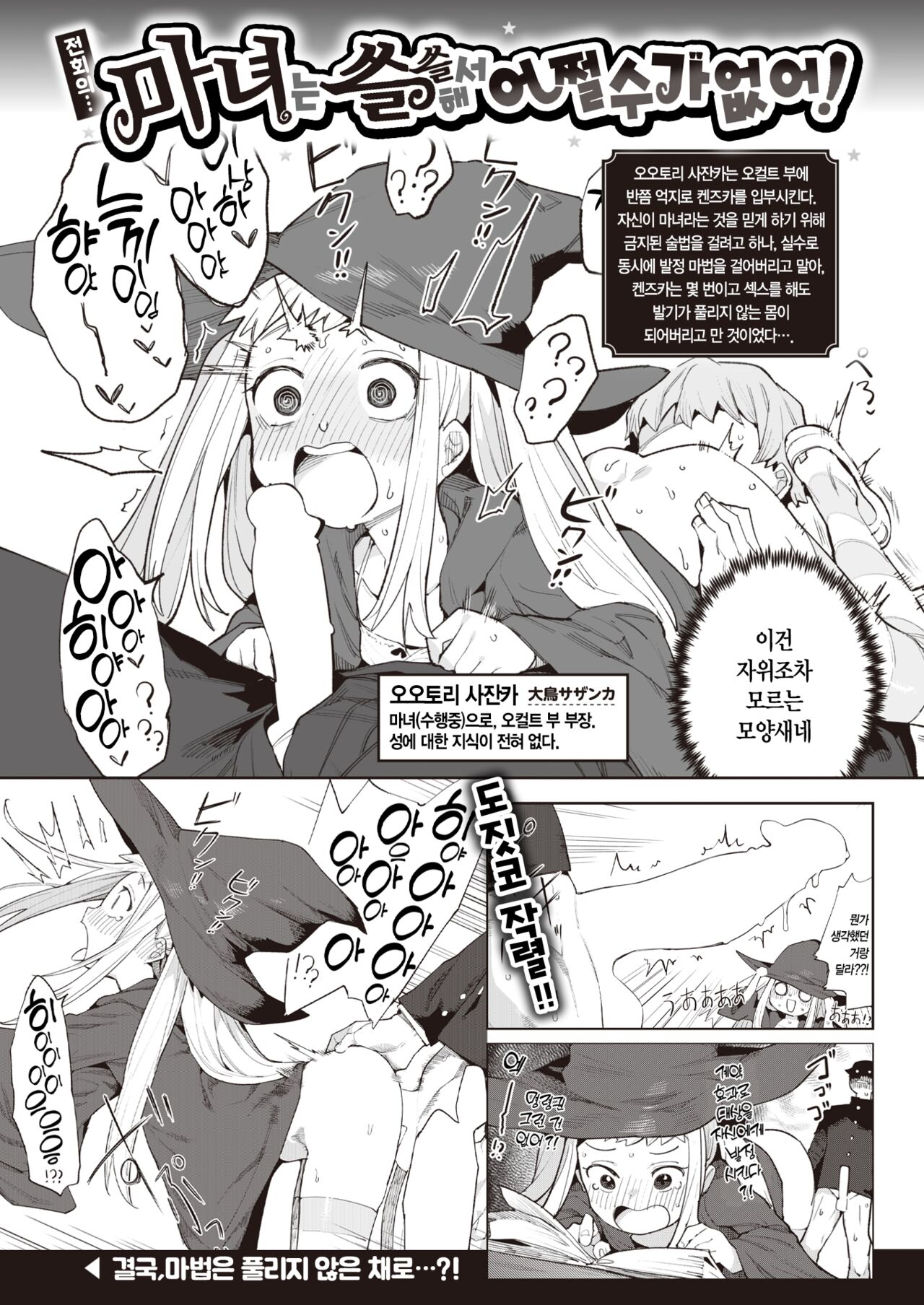 Majo wa Hoshikute Shikata ga nai! | 마녀는 원해서 어쩔 수가 없어! page 2 full