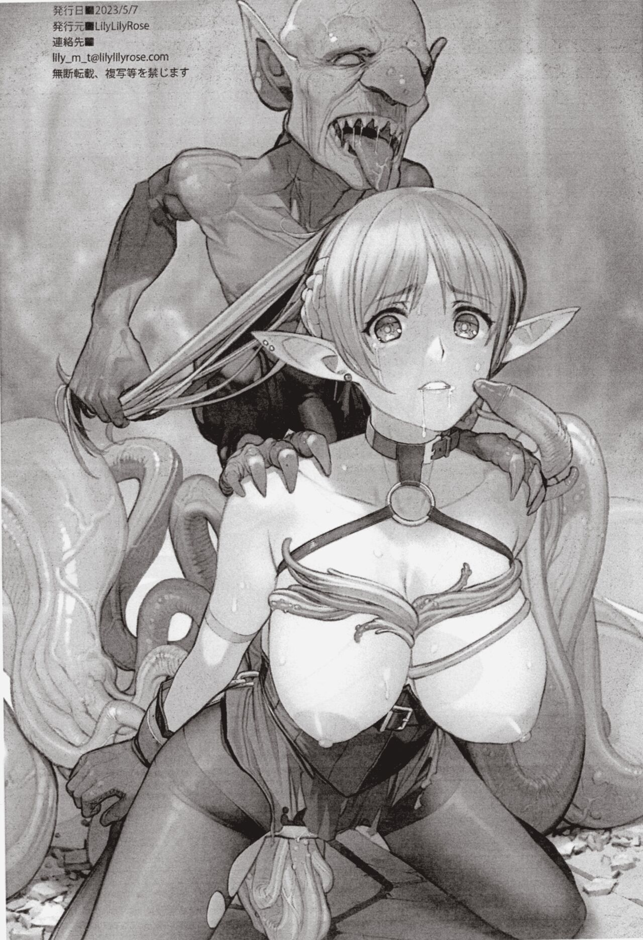 ELFVS page 11 full