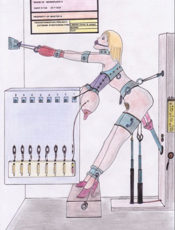 The fate of Barbara cover