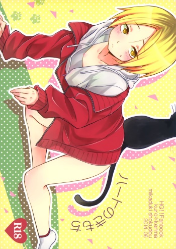 (RTS!!2) [Mikazuki Shokudou (Kurosawa Ayuki)] Heart no ki Mochi (Haikyuu!!) cover
