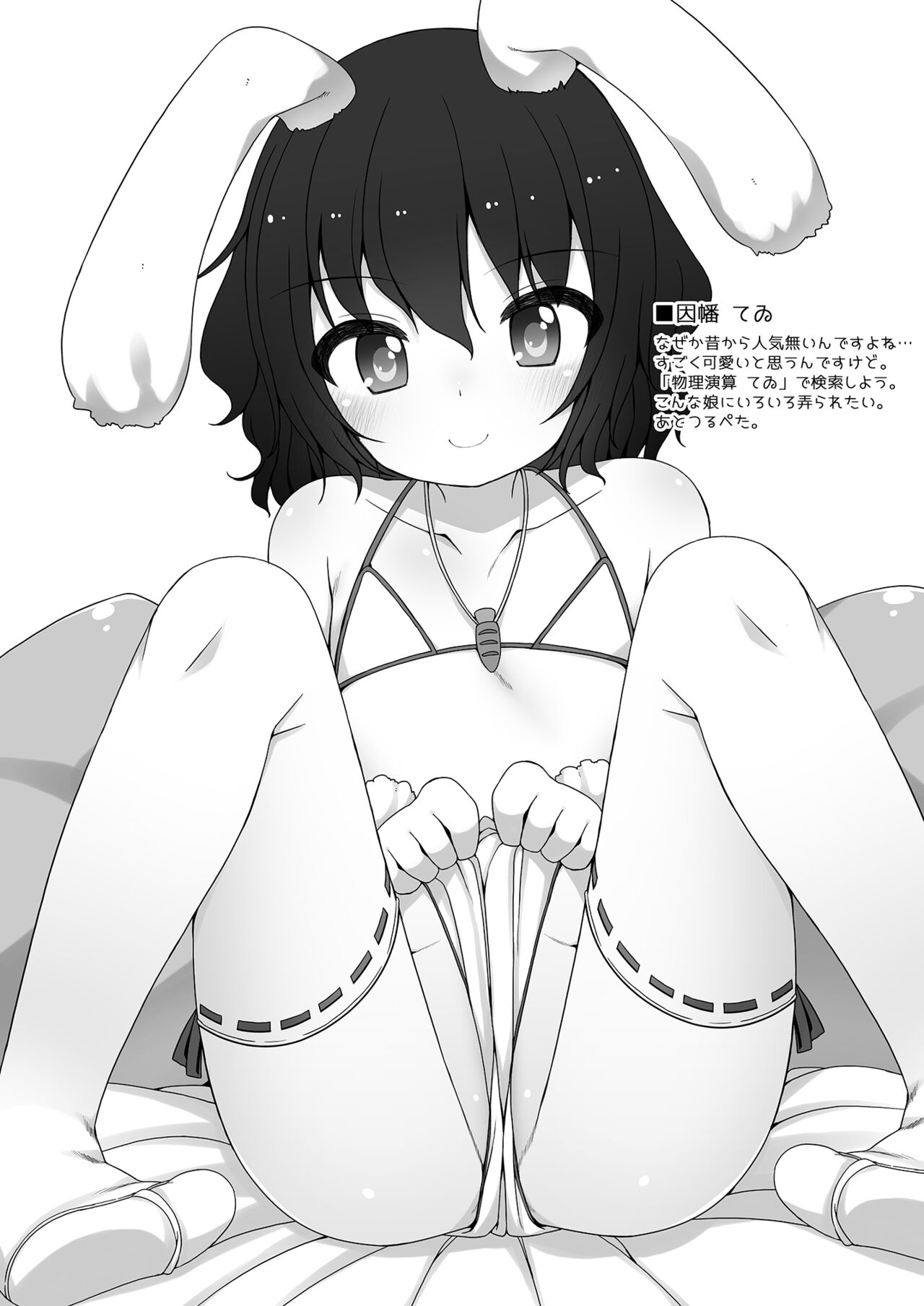 Touhou Matometa Hon page 11 full