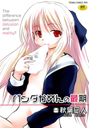 [Akiba Nagito] Panda Kamen no Saigo [Digital] cover