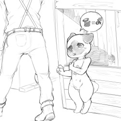 Palico Brothels - Unregistered Business