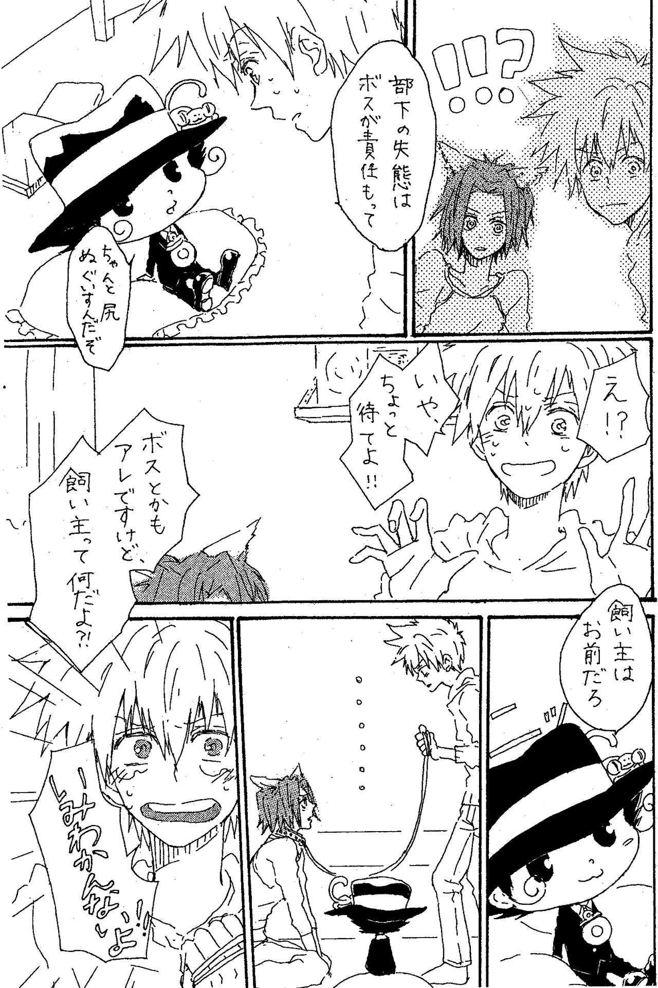 scusi page 4 full