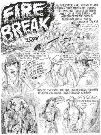 Fire Break cover