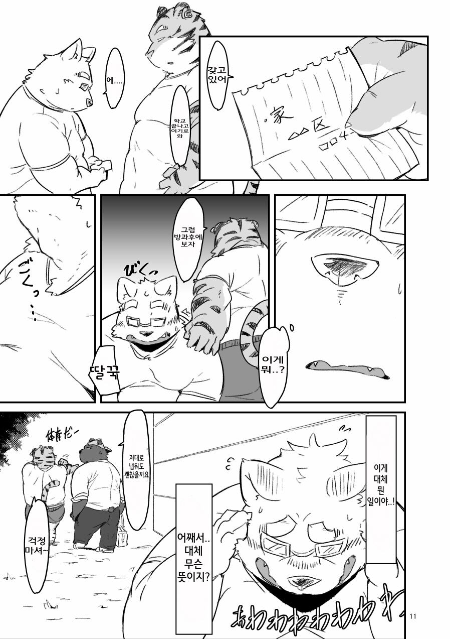 Kocchi Muite yo Torakado-kun | 여기 보세요 토라이로 군 page 11 full