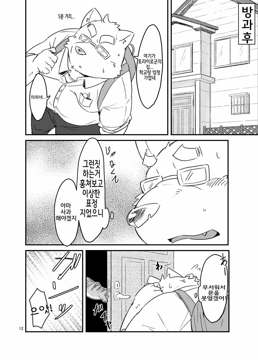 Kocchi Muite yo Torakado-kun | 여기 보세요 토라이로 군 page 12 full