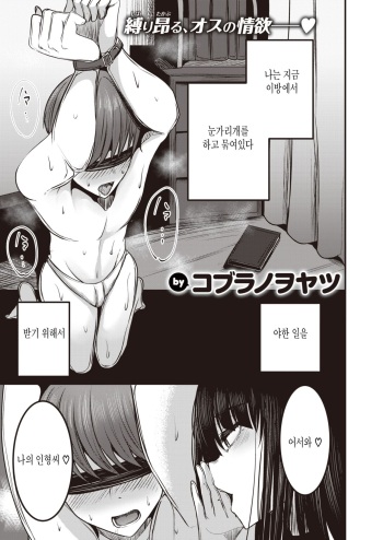 [Cobura no Oyatsu] Kannou-san wa Sagashiteru. (COMIC Shitsurakuten 2023-01) [Korean] [Digital] cover