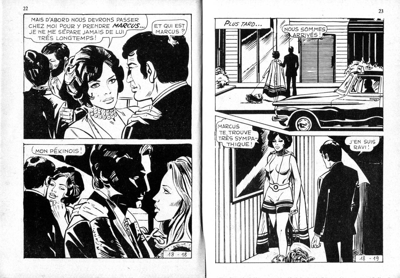 PFA - Goldboy 18 - Quelle tante page 12 full
