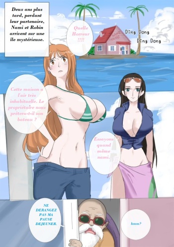 The Sexual Life Of The Turtle Hermit (One Piece, Dragon Ball) french cover