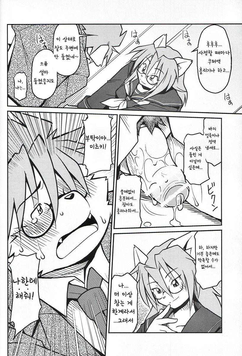 M page 11 full