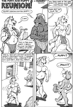 Pony and Puppy Reunion