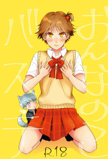 [Shimashi Emi/ Hashida Emiko ] On'na no ko basute(Persona 4)sample cover