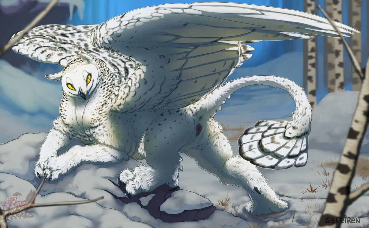 Female Gryphon Portfolio Sefeiren / Frisky Ferals page 5 full