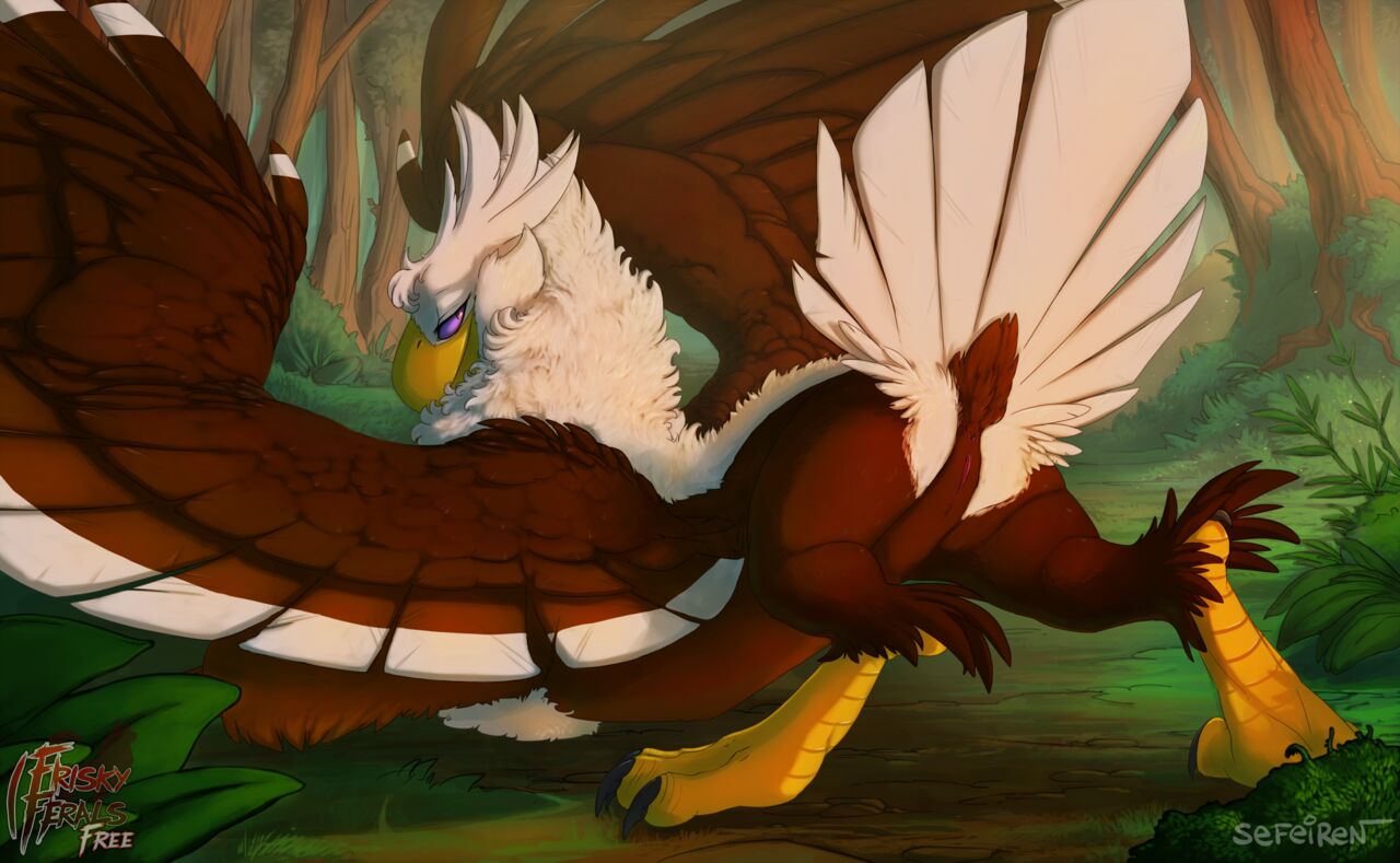 Female Gryphon Portfolio Sefeiren / Frisky Ferals page 6 full