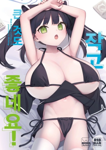 (FF40) [Herng] Chiisakute Ookii no mo Yoi desu ne! | 작고 큰 것도 좋네요! (Blue Archive) [Korean] cover