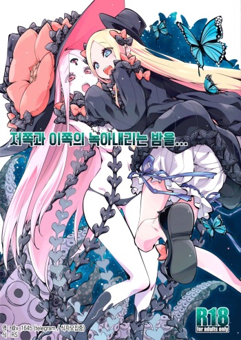 (COMIC1☆16) [Curry Berg Dish (Mikage)] Kanata to Konata no Tokeau Yoru o... | 저쪽과 이쪽의 녹아내리는 밤을…(Fate/Grand Order) [Korean] cover