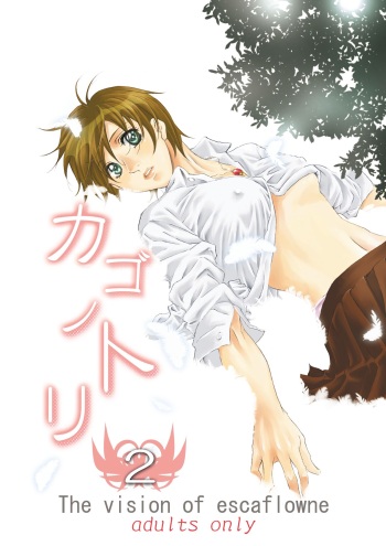 [Tajima Minato] Bird in a Box 2 (Tenkuu No Escaflowne) cover