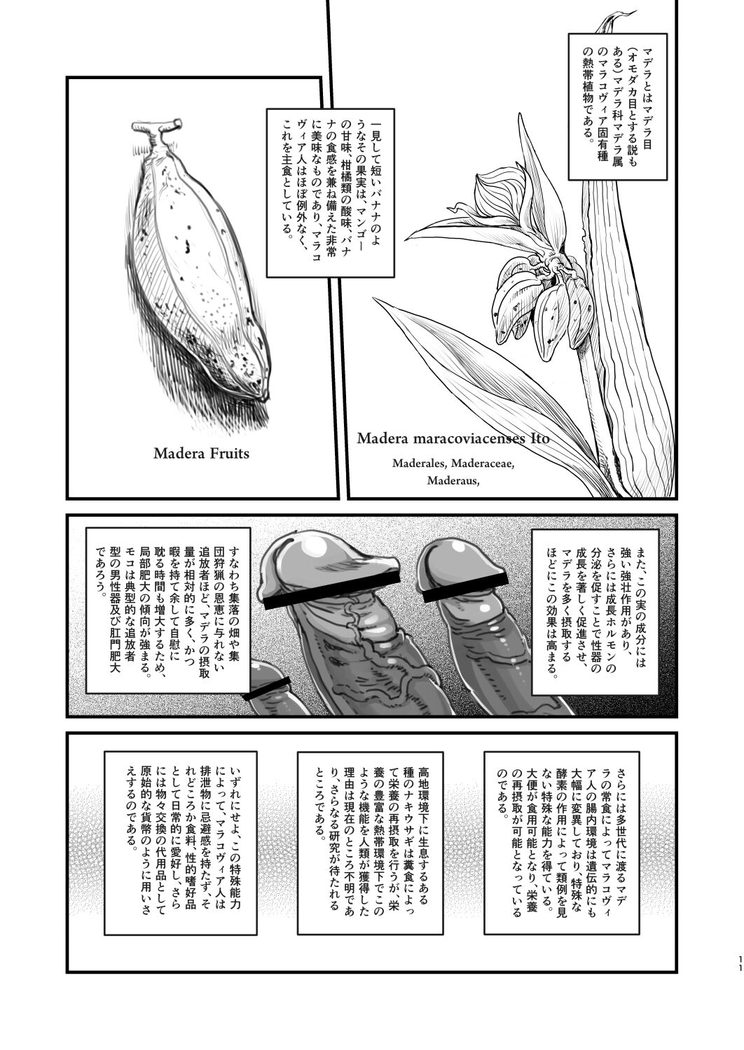 Dankon no esunogurafi ─ marakovuia no sei to haisetsu ─ page 11 full