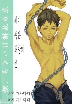 Kusabi, Aruiha Kaihou no Tobira | 쐐기 혹은 해방의 문