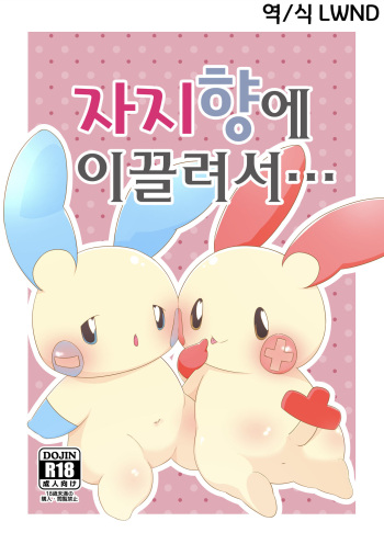 (Kemoket 12) [Yatsuki ni Yaiba o Nagameru Nekobito no Tabi (Kekera)] O*pou Okou ni Sasowarede... | 자지향에 이끌려서… (Pokémon) [Korean] [LWND] cover