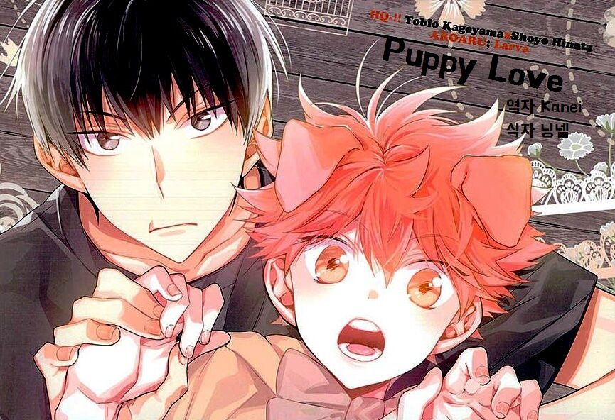 Haikyuu!! dj – Puppy love page 1 full