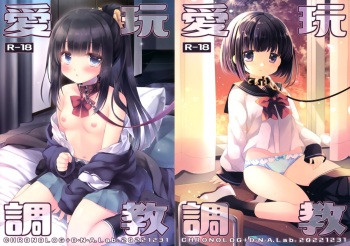 (C101) [D.N.A.Lab., CHRONOLOG (Miyasu Risa, Sakurazawa Izumi)] Aigan Choukyou cover