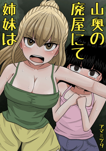 [Amamitsu 9] Yamaoku no Haioku nite Shimai wa cover