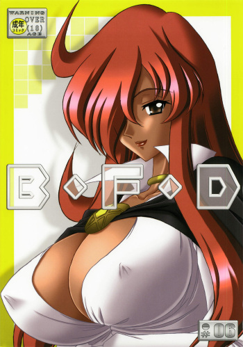 (C73) [Bousou!! Fuhatsudan (Takai Biki)] B.F.D 06 (Zero no Tsukaima)  [English] [EHCOVE] cover