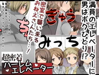 [excess m (zzinzinz)] Chou Micchaku! Harem Elevator | Close Quarters! Harem Elevator [English] [Solid Rose] cover