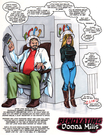 [Tebra] Renovating Donna Mills cover