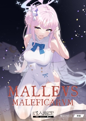 [Kawaiso Nanoha Nukeru (Nukeru)] Malleus Maleficarum -Majo ni Ataeru Tettsui- [Digital] cover