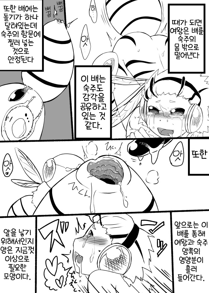 Hachi Musume Rakugaki Manga page 11 full
