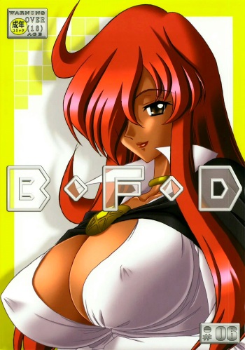 (C73) [Bousou!! Fuhatsudan (Takai Biki)] B.F.D 06 (Zero no Tsukaima)  [Spanish] [Renasentista_313] cover