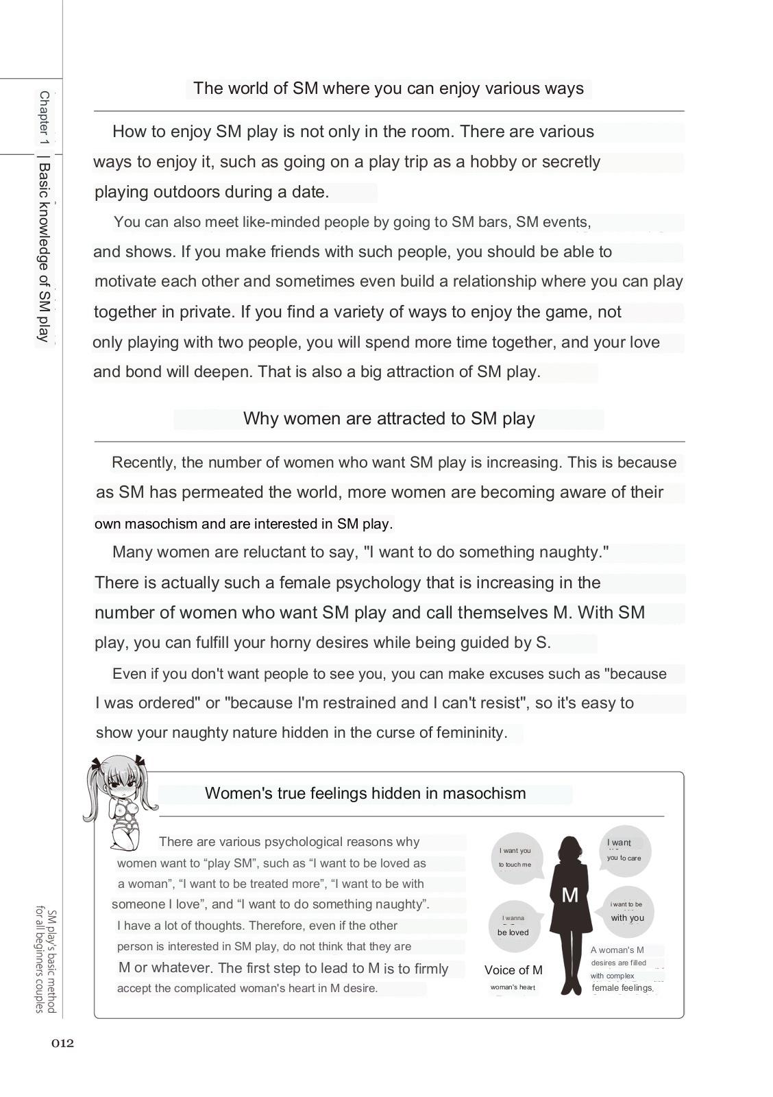 SM play manual page 10 full