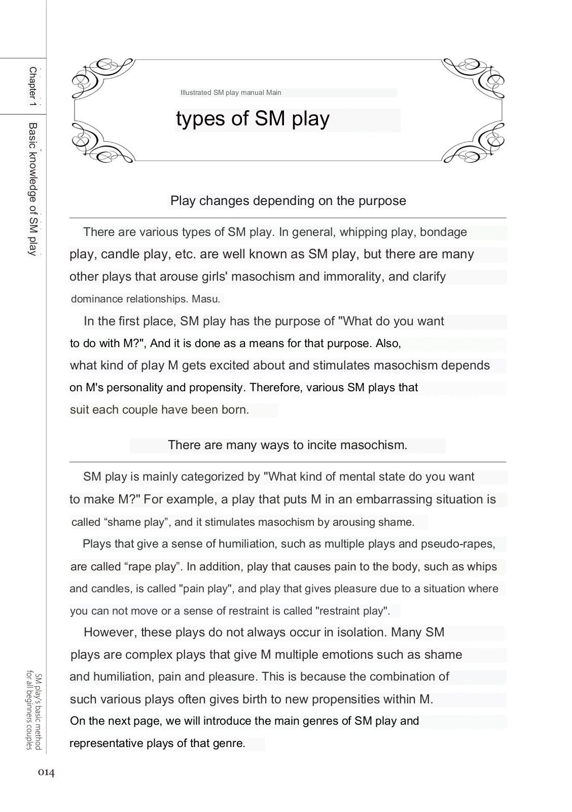 SM play manual page 12 full