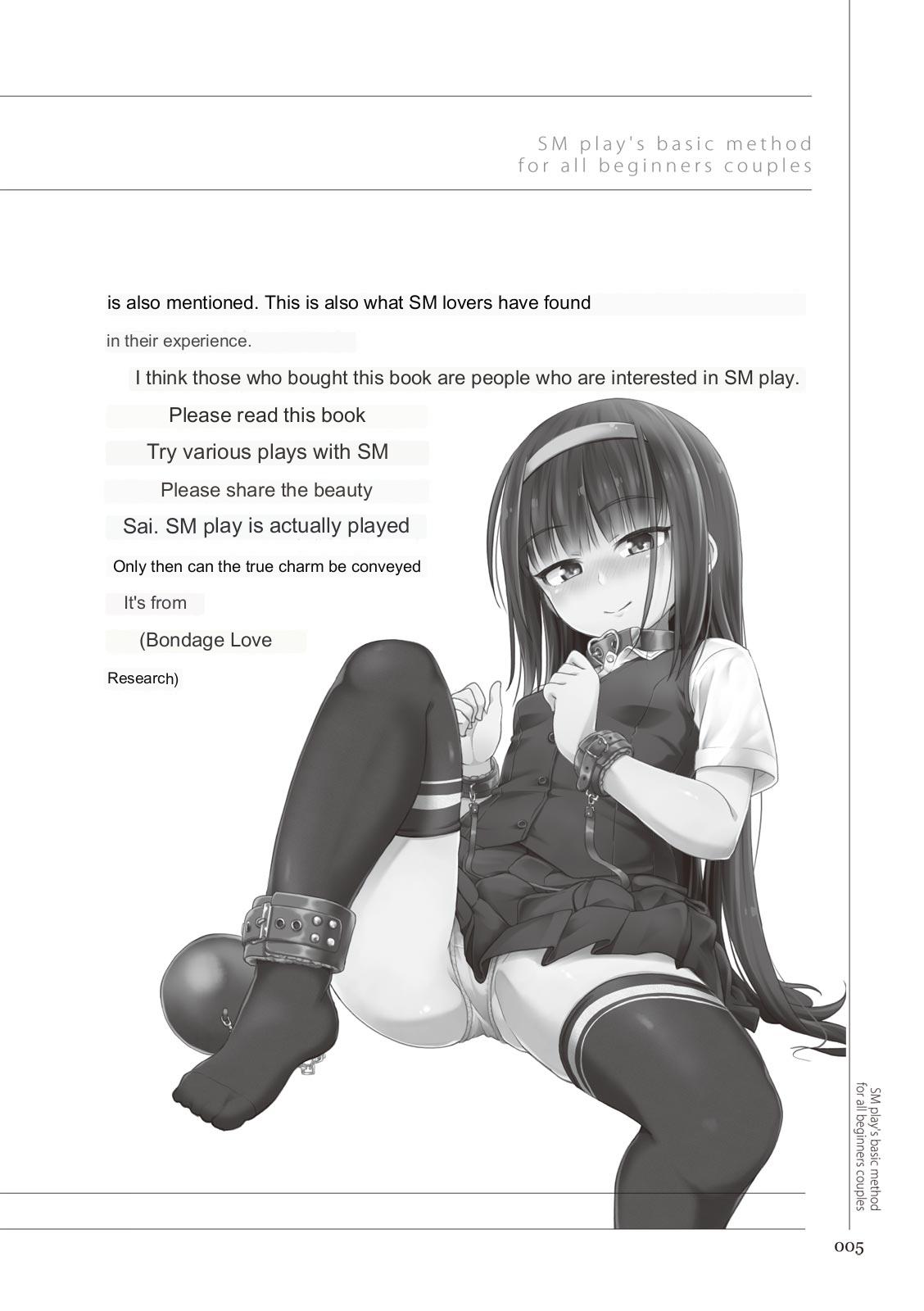 SM play manual page 4 full